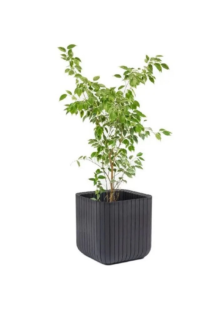 Горщик для квітів Cube Planter M чорний 230225 Keter (316516283)