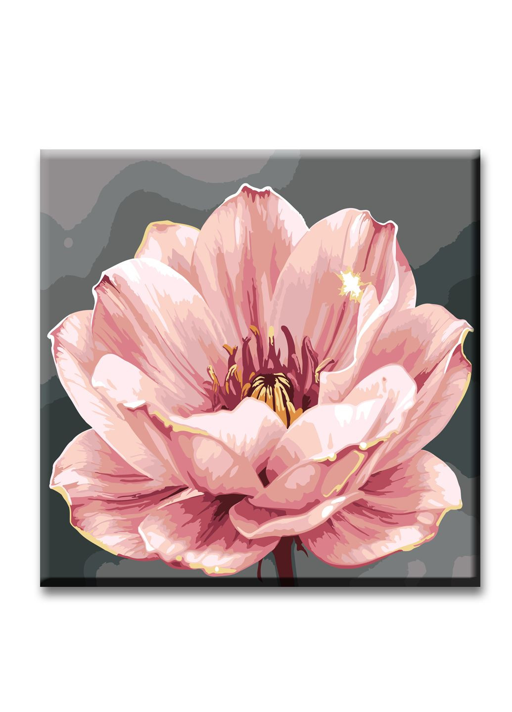 Картина за номерами 30*30 см Квітка ArtStory (360714231)