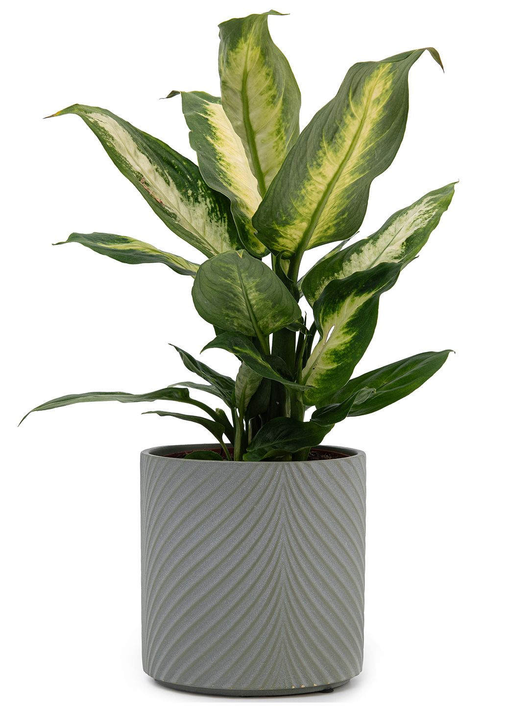 Кашпо для цветов elemi Листок 13 см керамическое 1,3 л темно-зеленое Мамин Посуд (336213687)