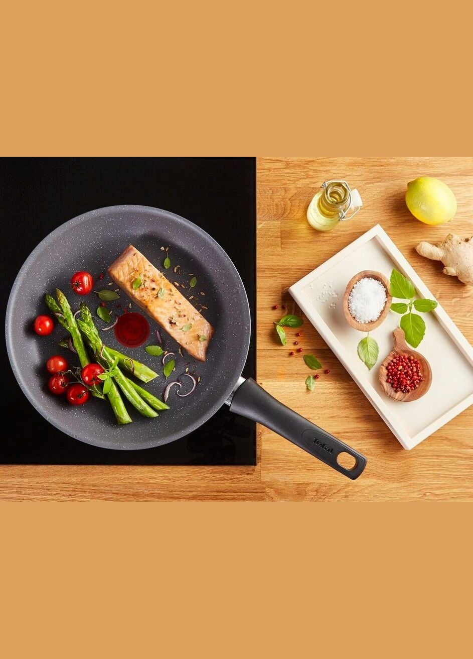 Сковорода Healthy Chef, 26см, алюміній, бакеліт, сірий Tefal (314977722)