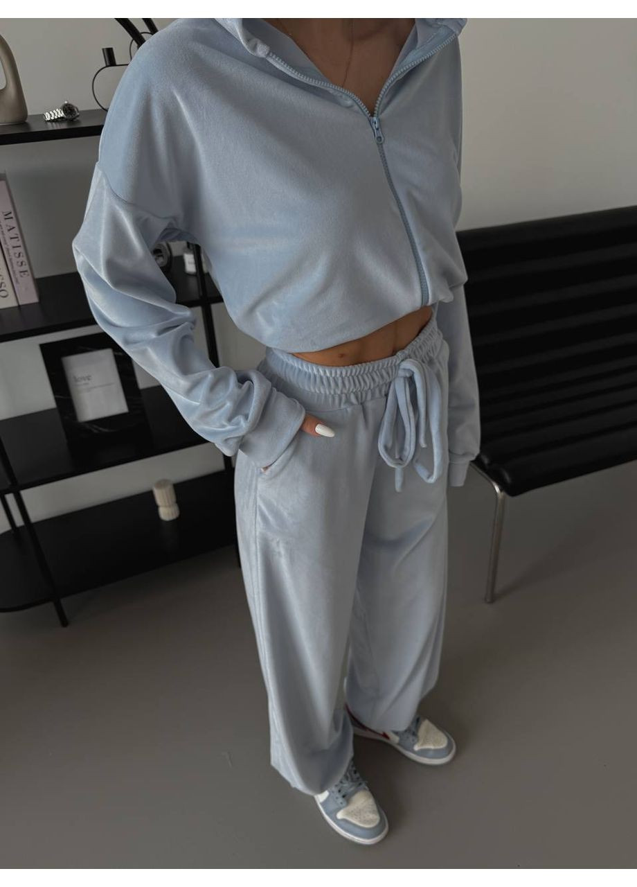 Жіночий стильний велюровий костюм Україна (355889620)