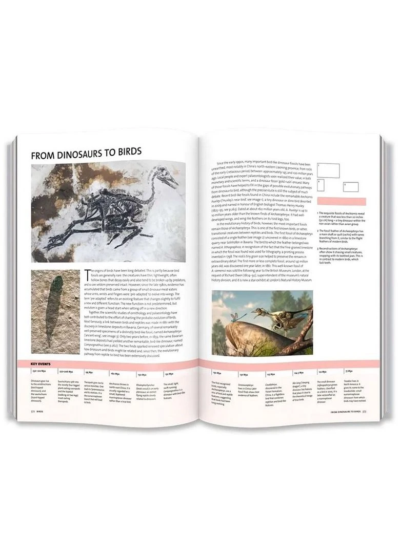 Evolution: The Whole Story Thames & Hudson (392247531)