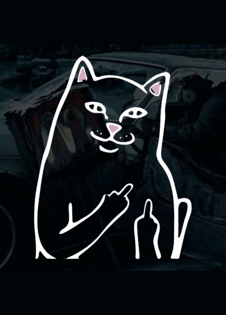 Наклейка на Авто Котик 10*14 см + Монтажная Плівка No Brand (298051932)