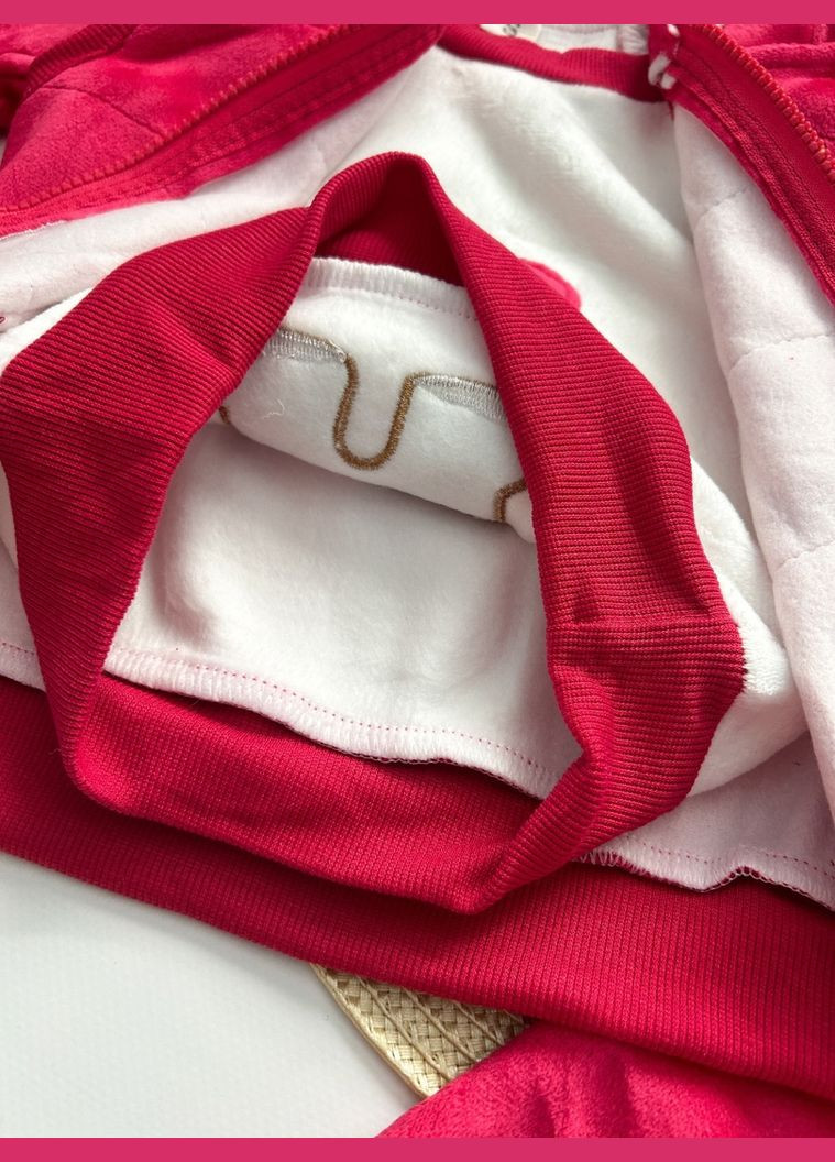 Малиновий демісезонний костюм-трійка теплий для дівчинки brand 10576 No Brand