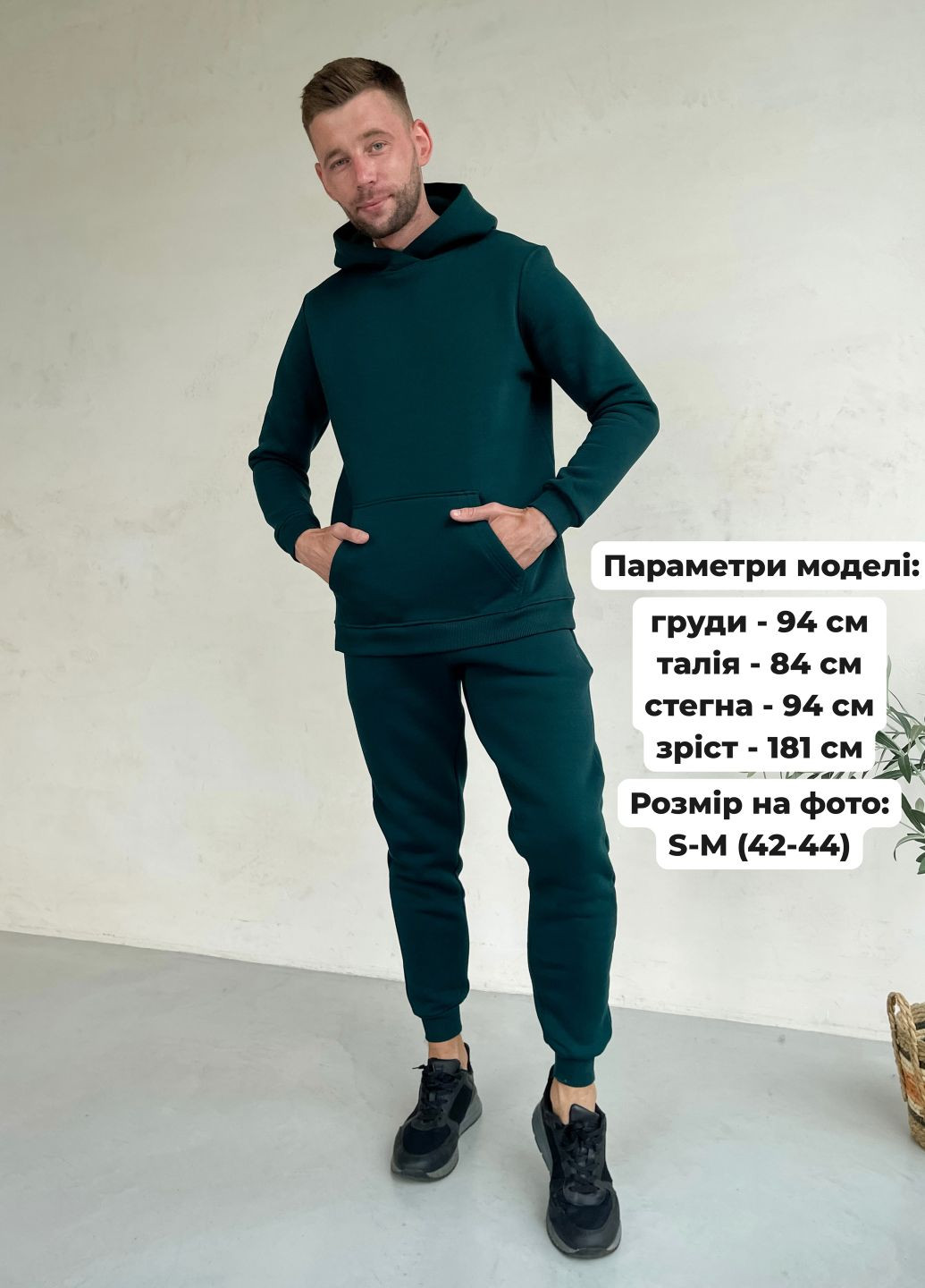 Теплый зимний мужской спортивный костюм на флисе серый 100001003 Merlini Франс (303916053)