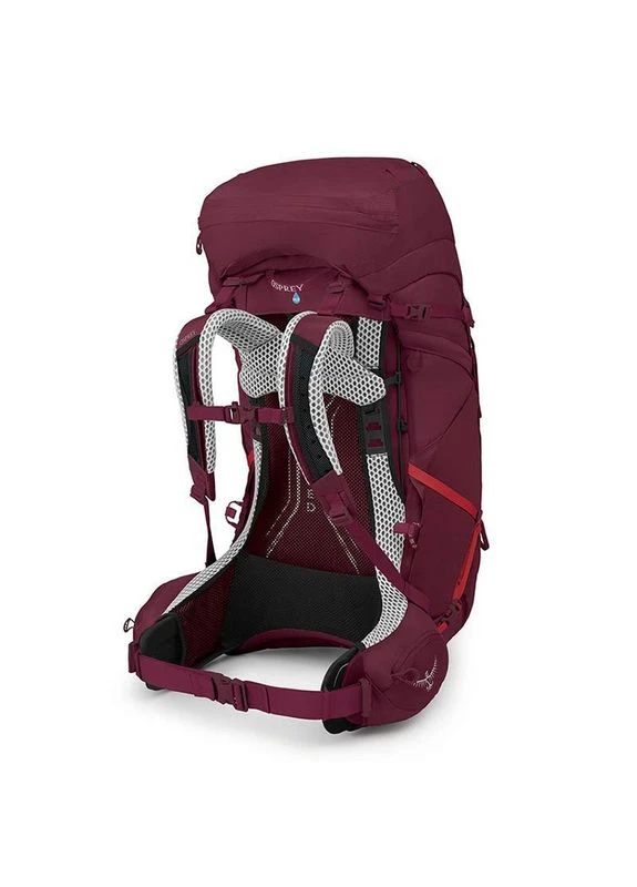 Туристический рюкзак Aura AG LT 65 Antidote Purple WM/L (009.3291) Osprey (360642956)
