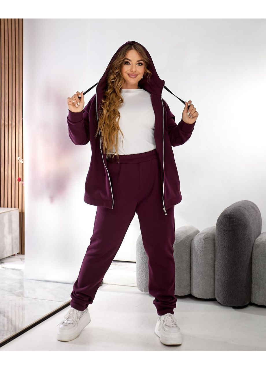 Теплий спортивний костюм «Три блискавки» • ЗАМІРИ В ОПИСІ DK/DL Мода без кордонів (370549301)