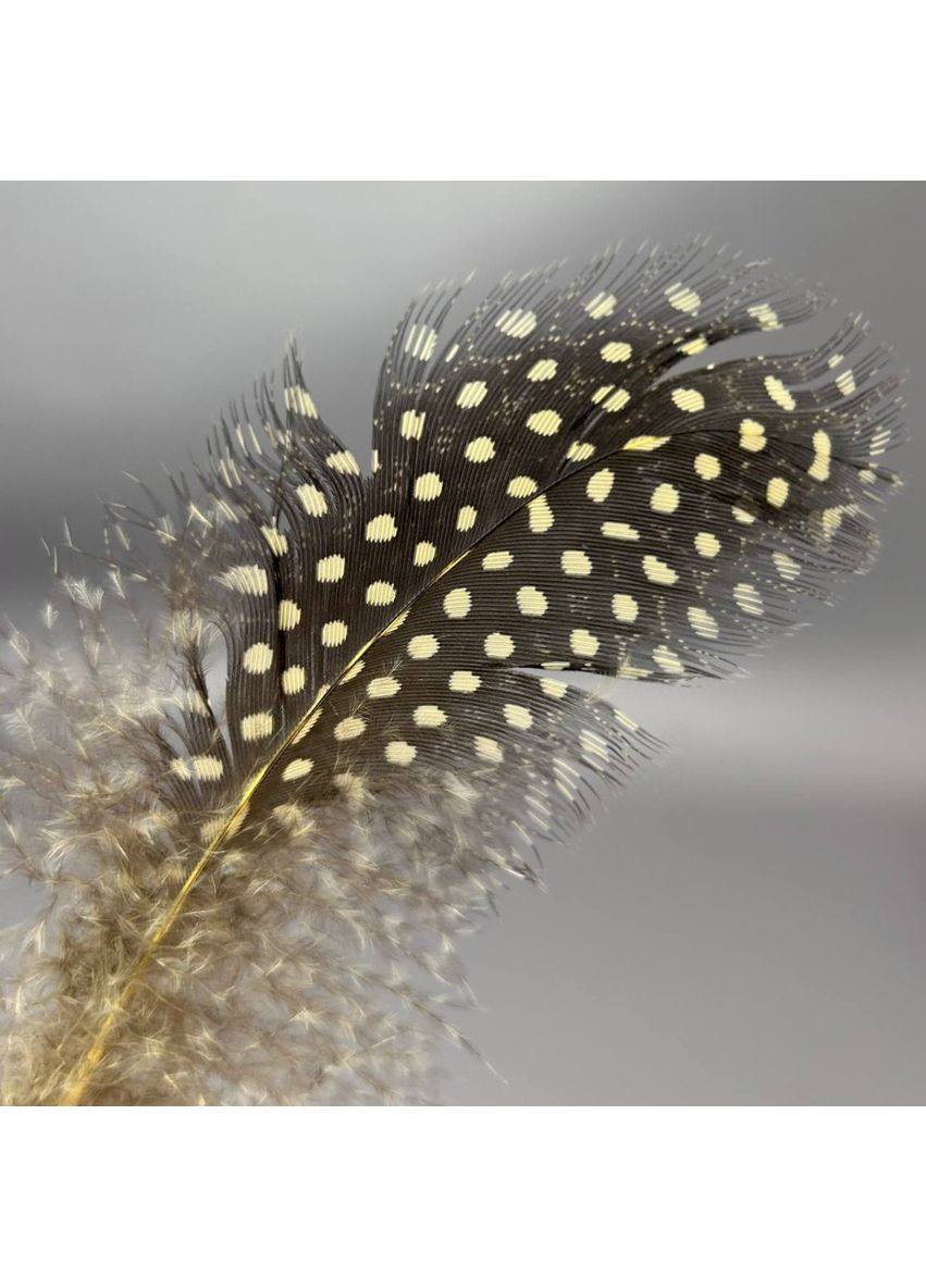 Пір'я курячі для рукоділля 5-10 см, ∼50шт - бежевий Plus-plus (352742945)