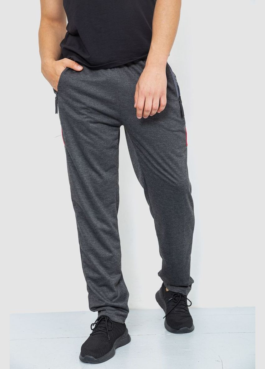 Темно-серые спортивные демисезонные брюки Ager