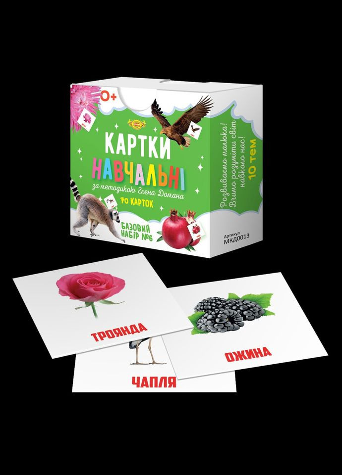 Картки навчальні Глена Домана №6 Майстер MKD0013 укр Мастер (304410964)