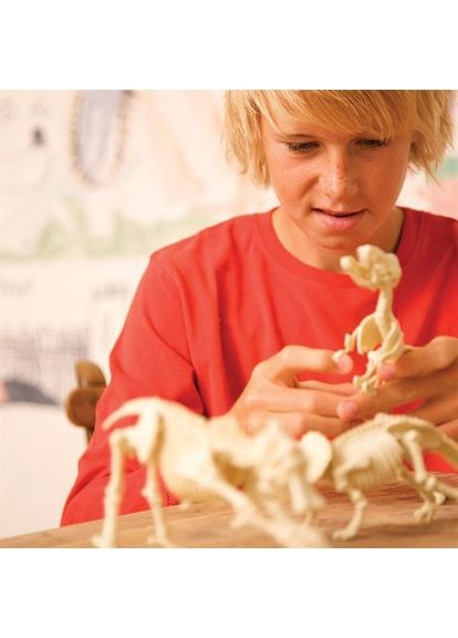 Набор для исследований Скелет трицератопса (00-03228) 4M (323116626)