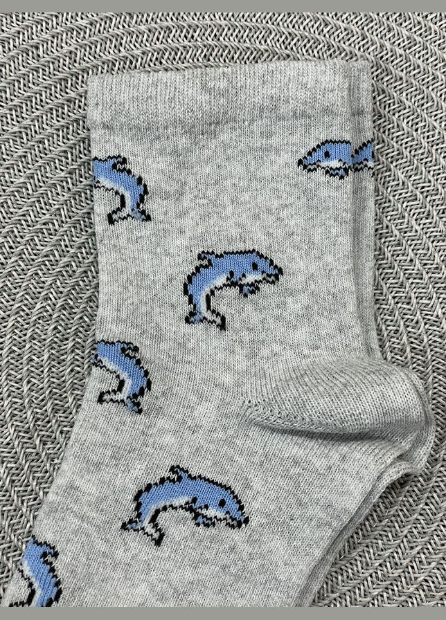 Сірі шкарпетки дитячі з малюнком (322388673)