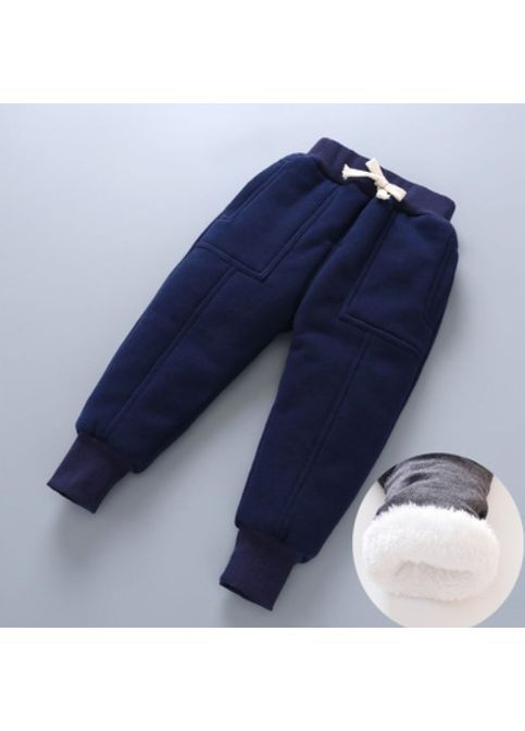 Спортивні дитячі штани на махрі сині | осінь-зима | (80 см) No Brand (365251888)