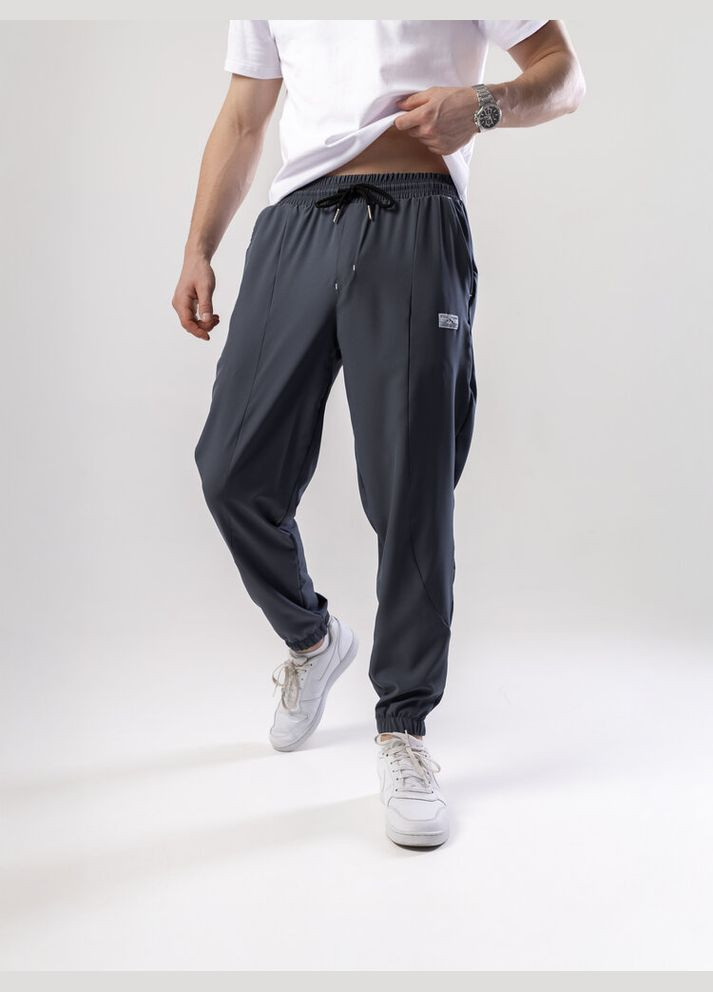 Темно-серые повседневный демисезонные джоггеры брюки Pobedov