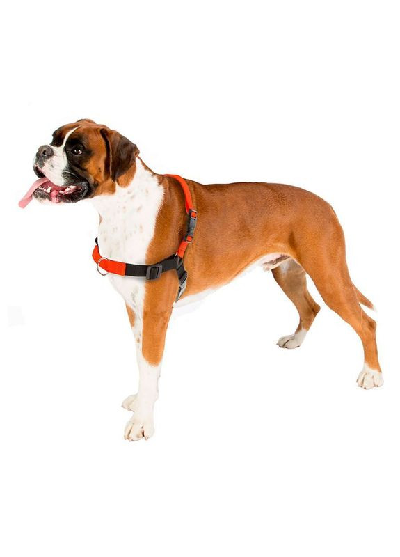 Шлея для собак Coach нейлонова помаранчева M-L А: 20х26 см В: 42х59 см 75556239 Ferplast (269341737)