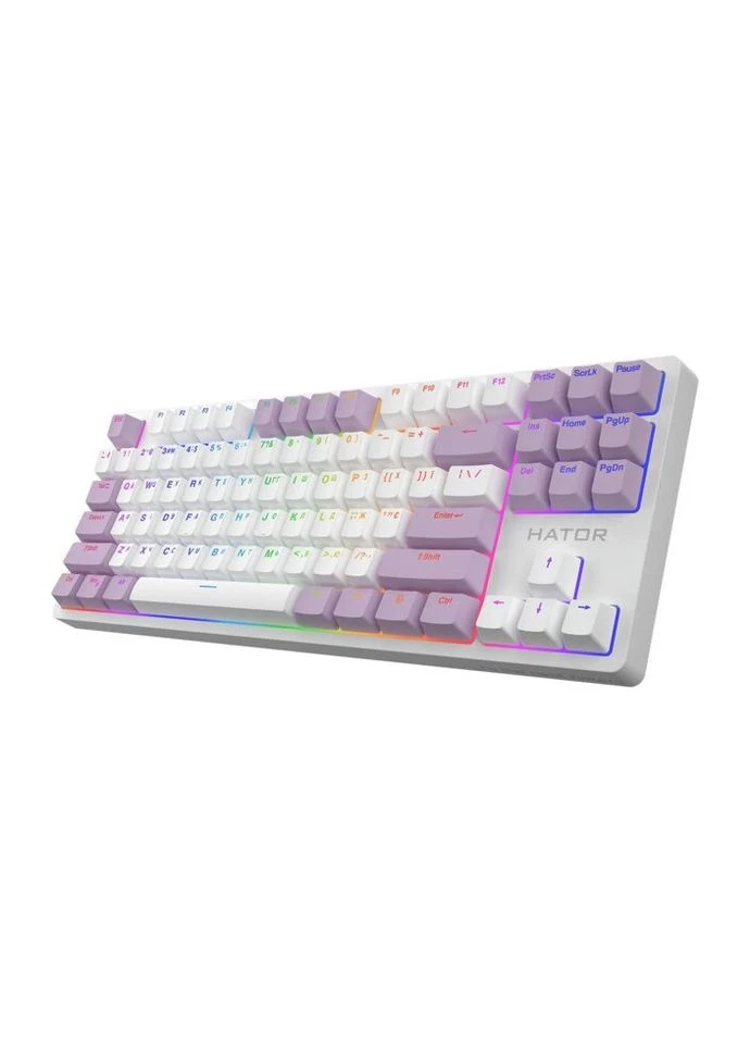 Клавіатура Rockfall 2 Mecha Signature Edition USB White/White/Lilac (HTK-521-WWL) Hator (313255434)