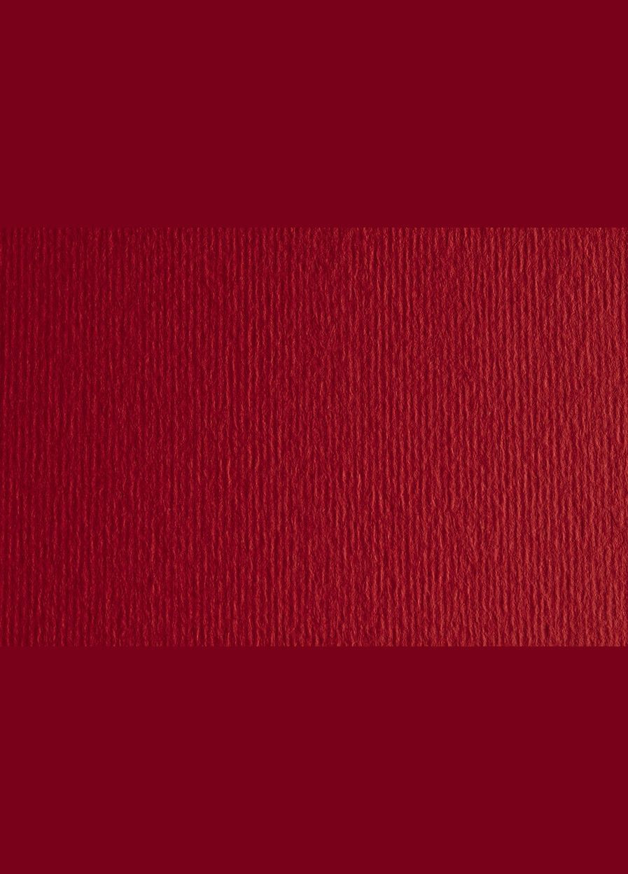 Бумага для дизайна Elle Erre A4 №27 celigia две текстуры А4 (21х29.7см) 200 г/м2 Fabriano (342752066)