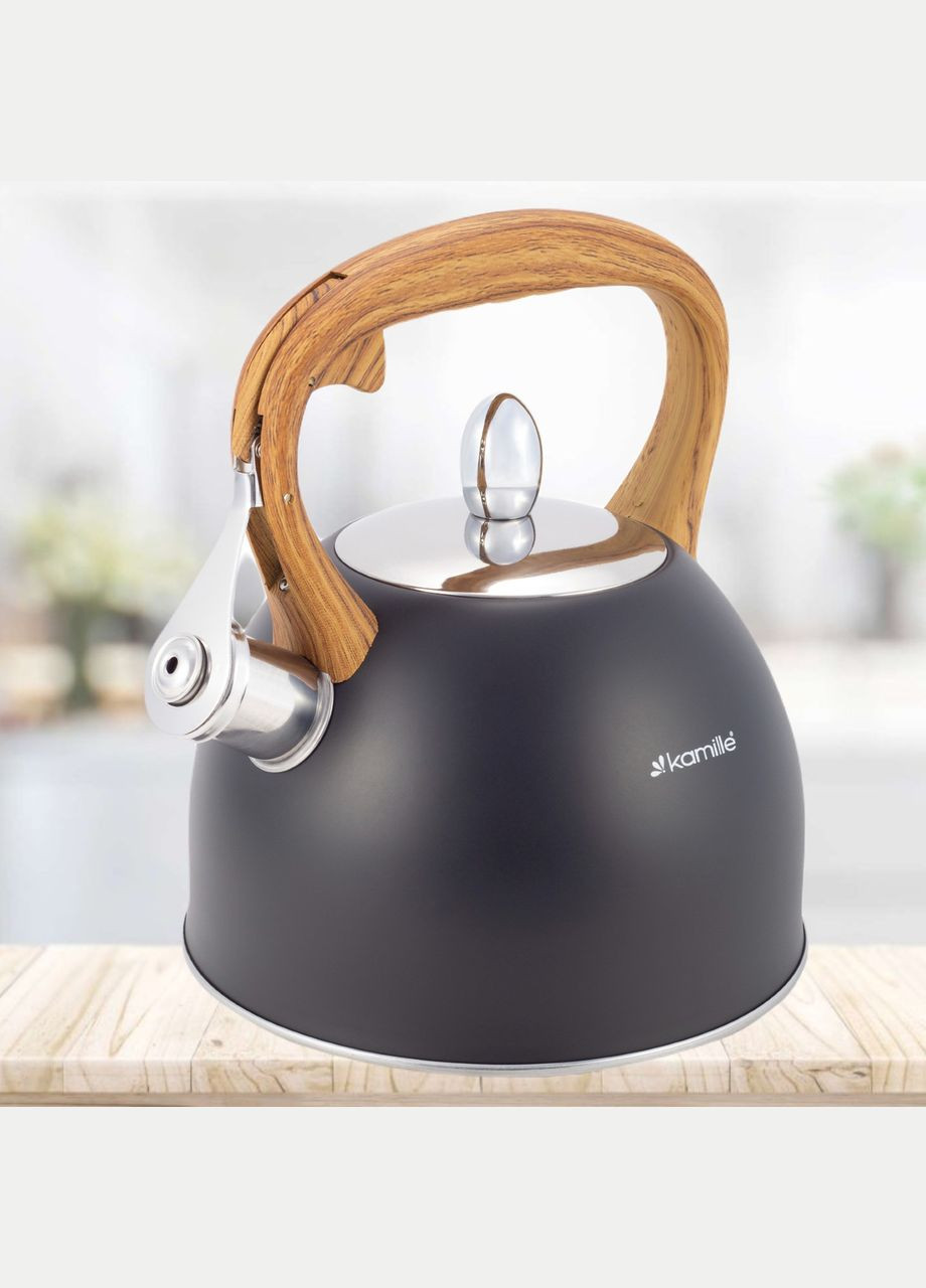 Чайник 2,5 л. з нержавіючої сталі зі свистком Графіт Kamille (311601859)