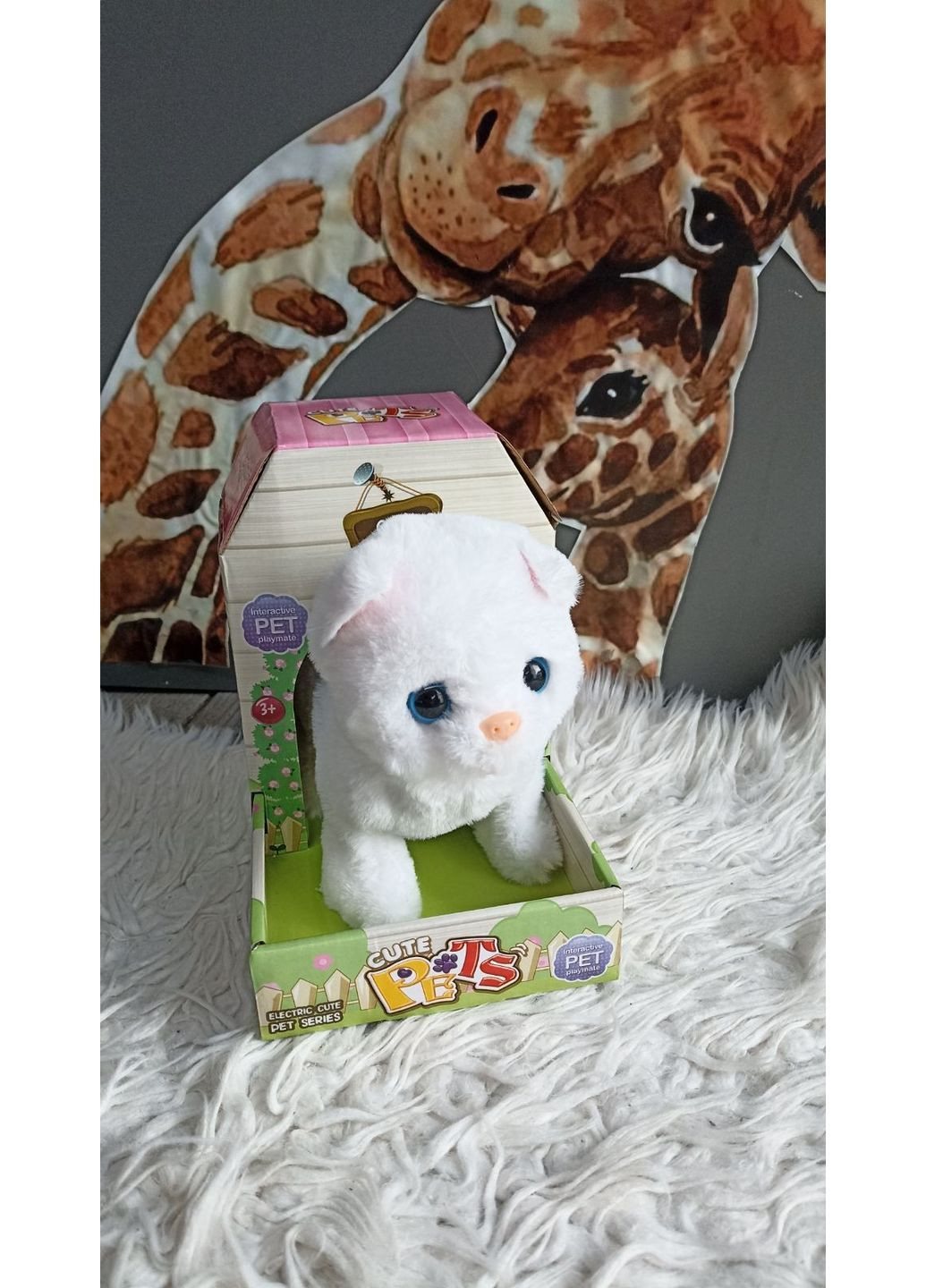 Кот No Brand (366091579)