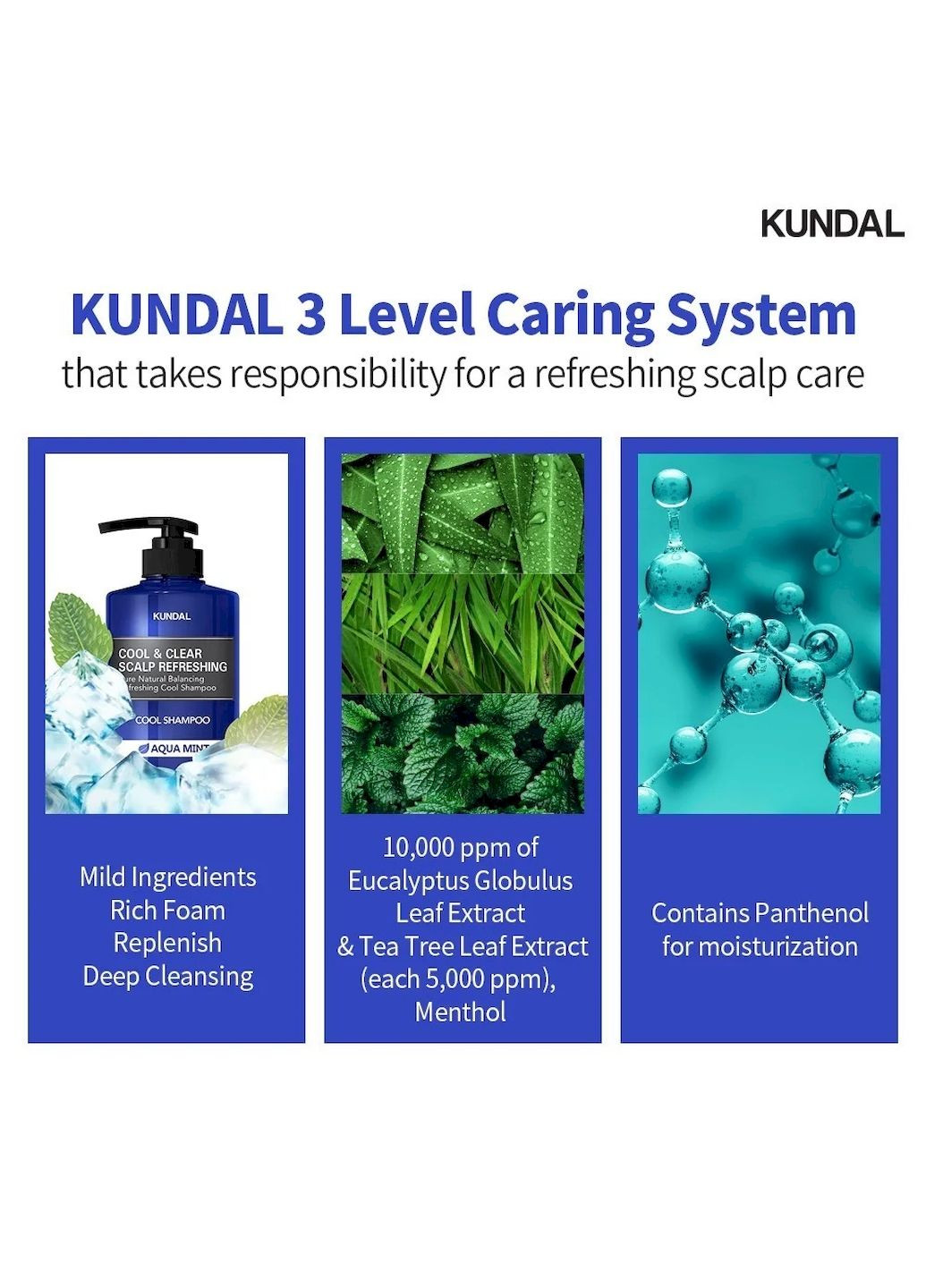 Бессульфатный шампунь COOL & CLEAR SCALP REFRESHING SHAMPOO AQUA MINT ментол+мята, 500 мл Kundal (278291516)