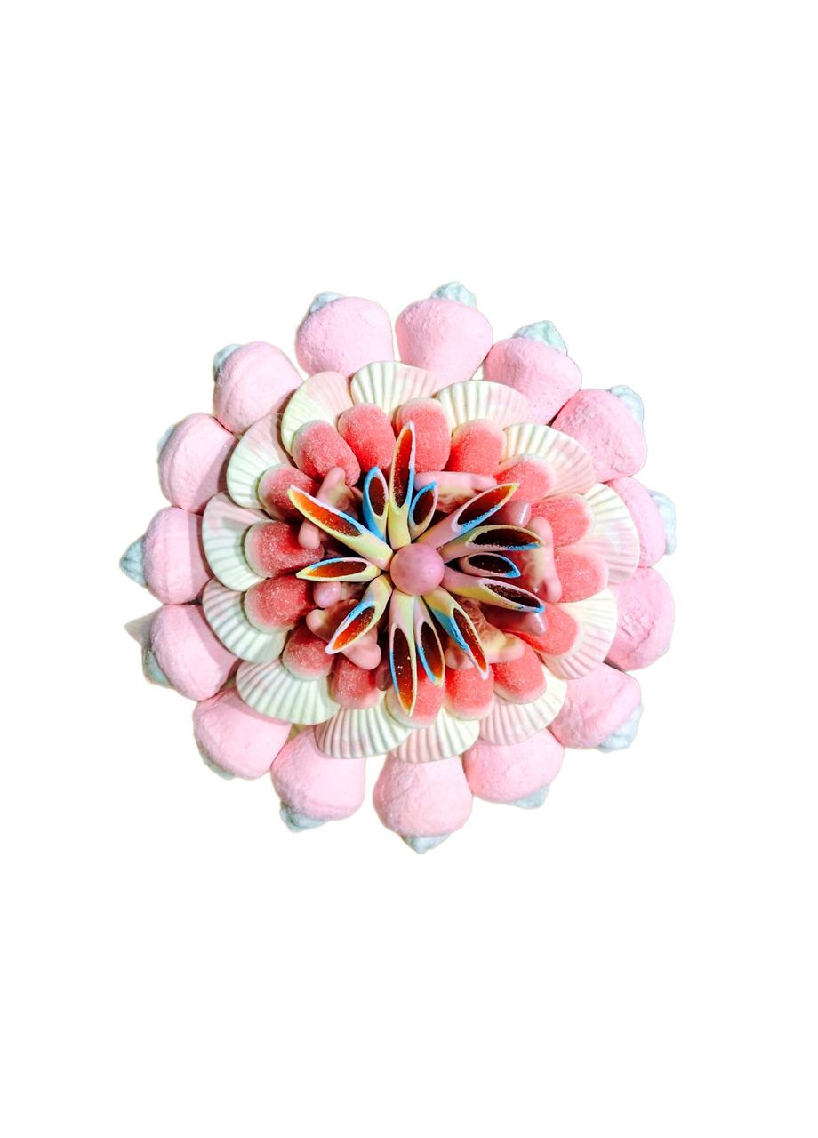 Сладкий букет из мармелада и маршмеллоу Мармеладный Кот 1 кг – нежность в каждом кусочке Мармеладний Кіт (315427671)