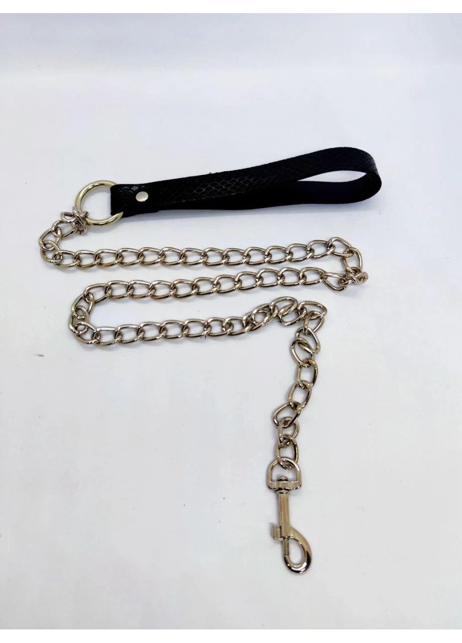 Нашийник з повідцем DS Fetish with leash black Collar (383080100)