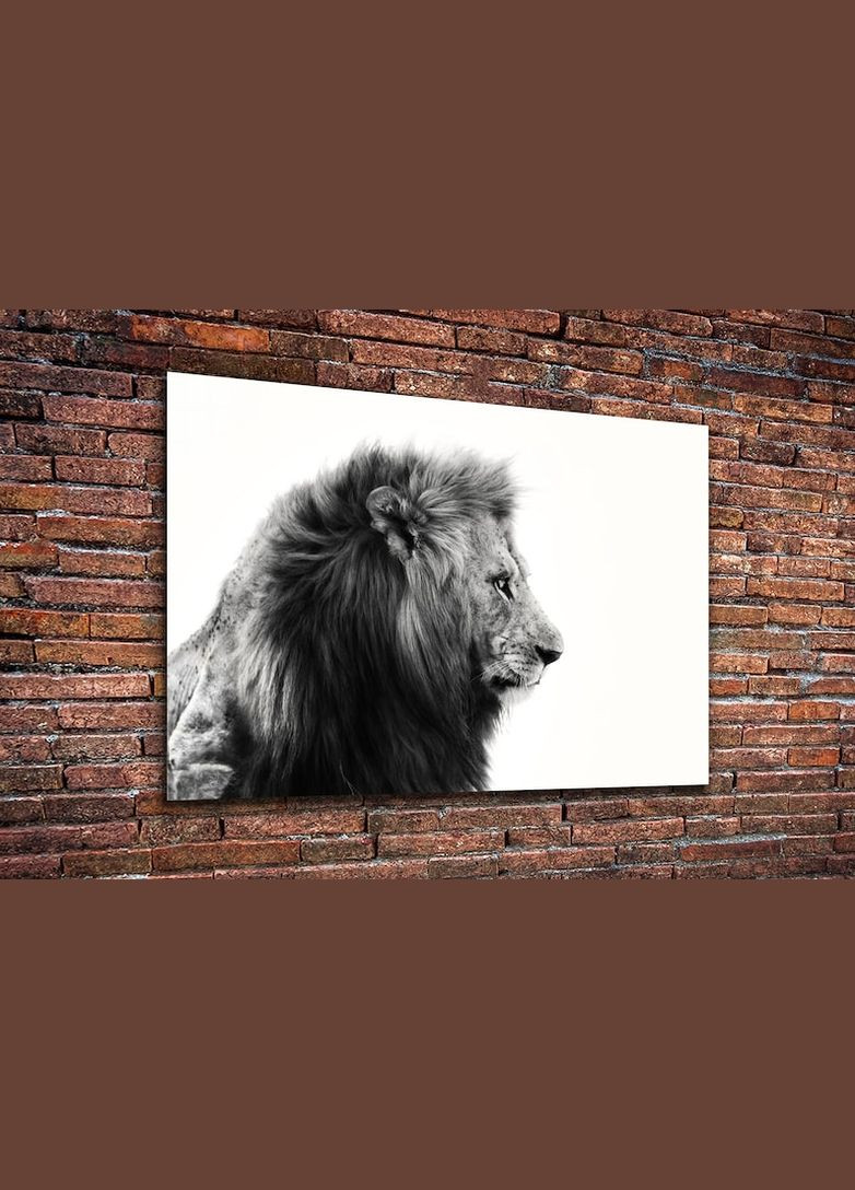 Картина для интерьера в гостиную спальню Чёрно-белый лев 80x54 см (518 KilArt (380007018)