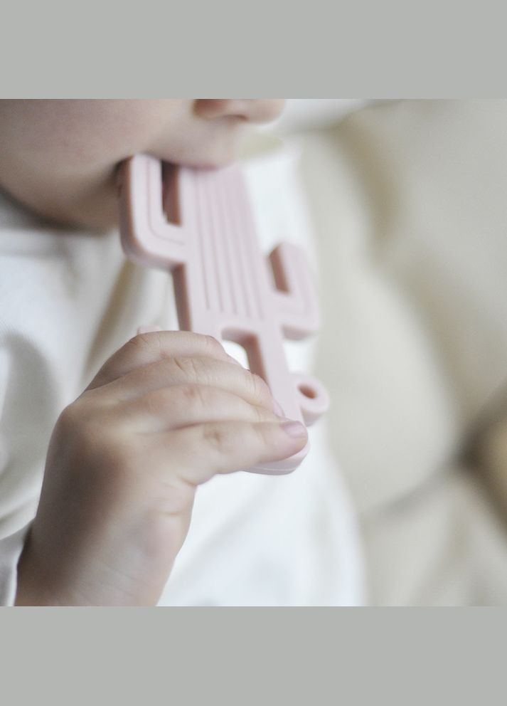 Прорезыватель для зубов силиконовый Cactus Mineral Blue () MinikOiOi 101090003 (335030318)