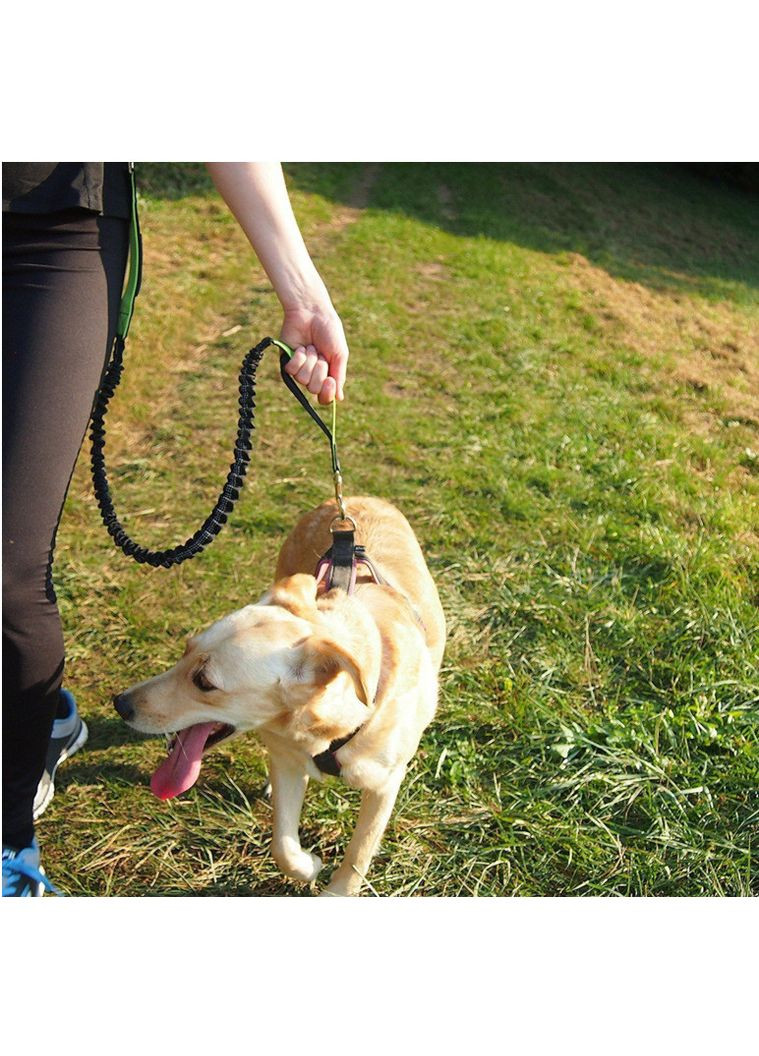 Повідець-пояс для бігу з собакою No Brand (362136190)