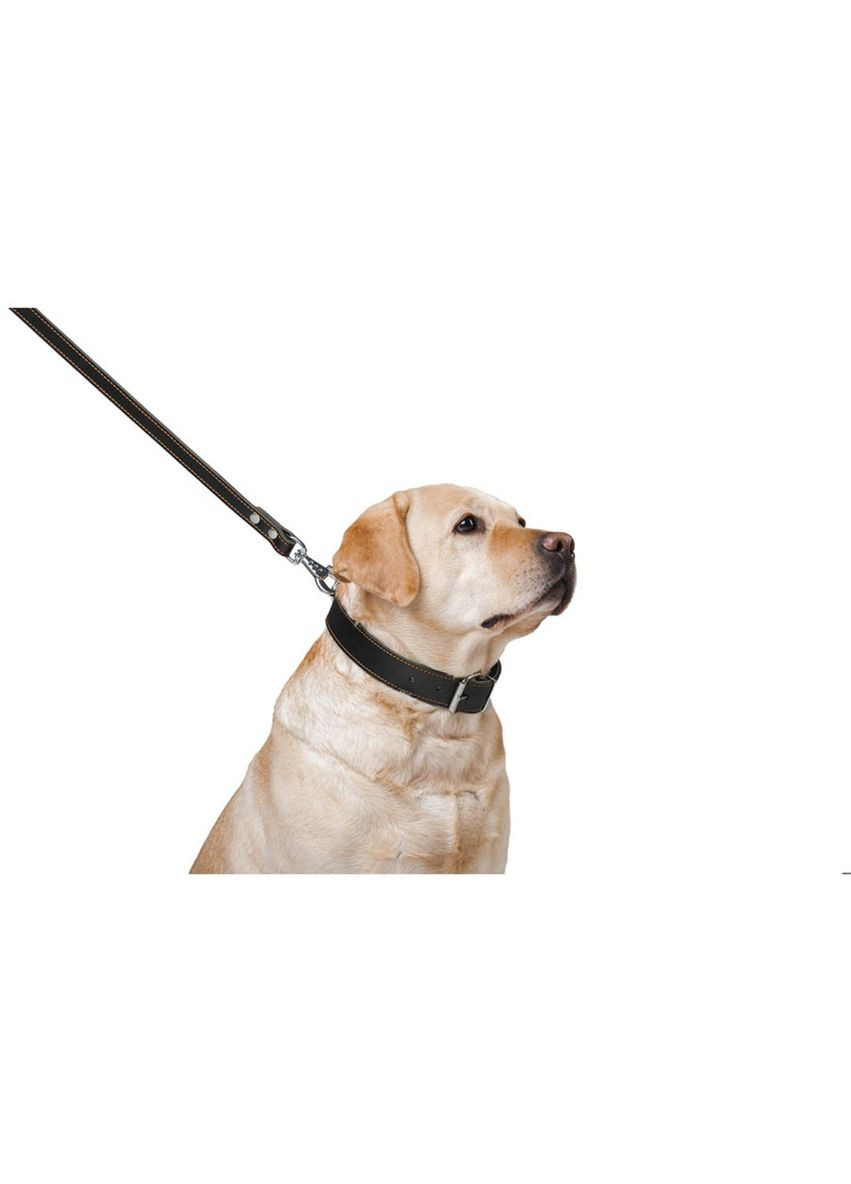 Повідець "" подвійний з прошивкою (ширина 20мм, довжина 122см) чорний Collar (322642531)