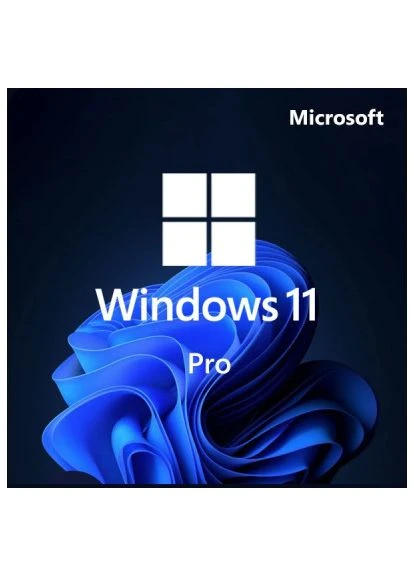 Операційна система Win Pro 11 64-bit All Lng PK Lic Online DwnLd NR (FQC-10572) Microsoft (400752282)