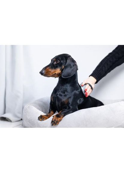 Щетка массажная для собак и кошек, резиновая Furminator (330222340)