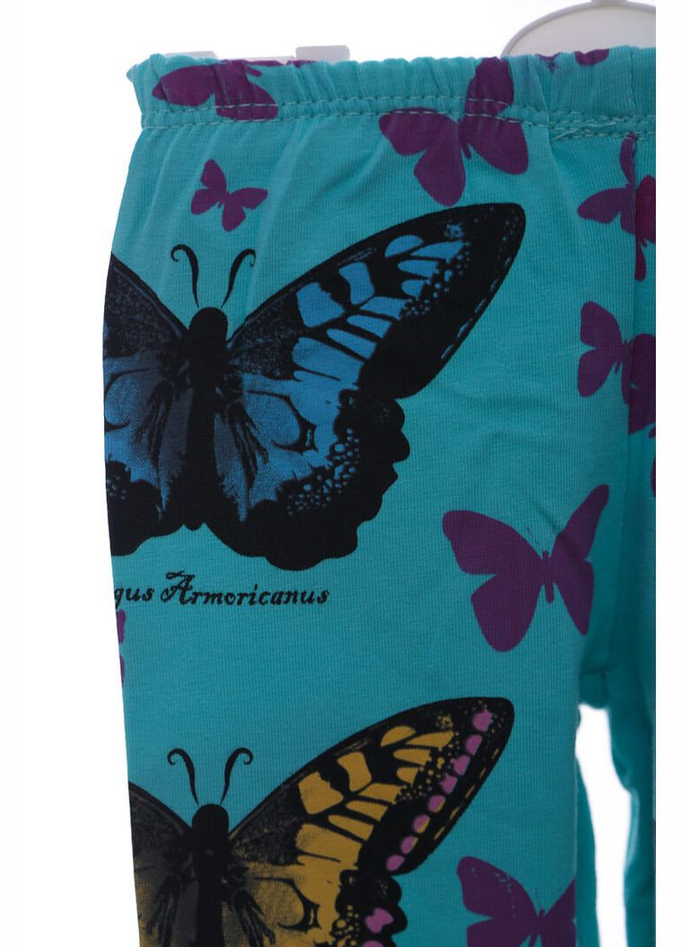 Лосины для девочки трикотажные с Бабочкой бирюзовый 86 см (37340) BABYKROHA (315721692)