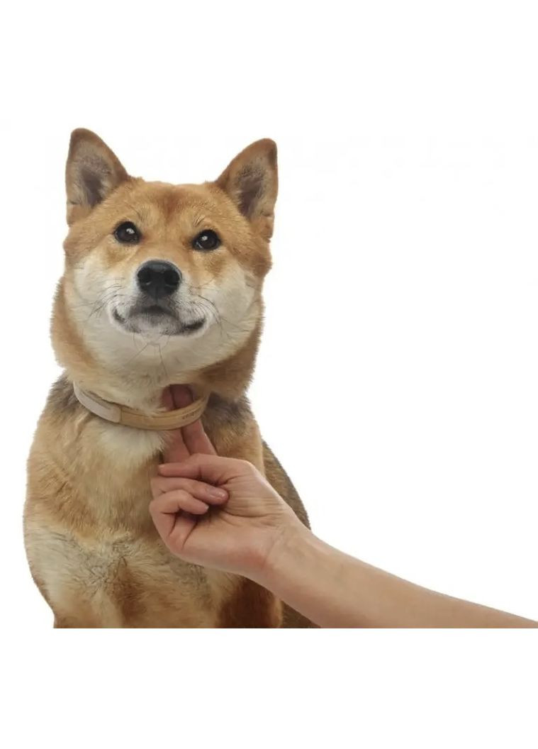 Противоразитарный ошейник (Bayer) Kiltix Килтикс для собак от блох и клещей 48 см (4007221035091) Elanco (354701347)