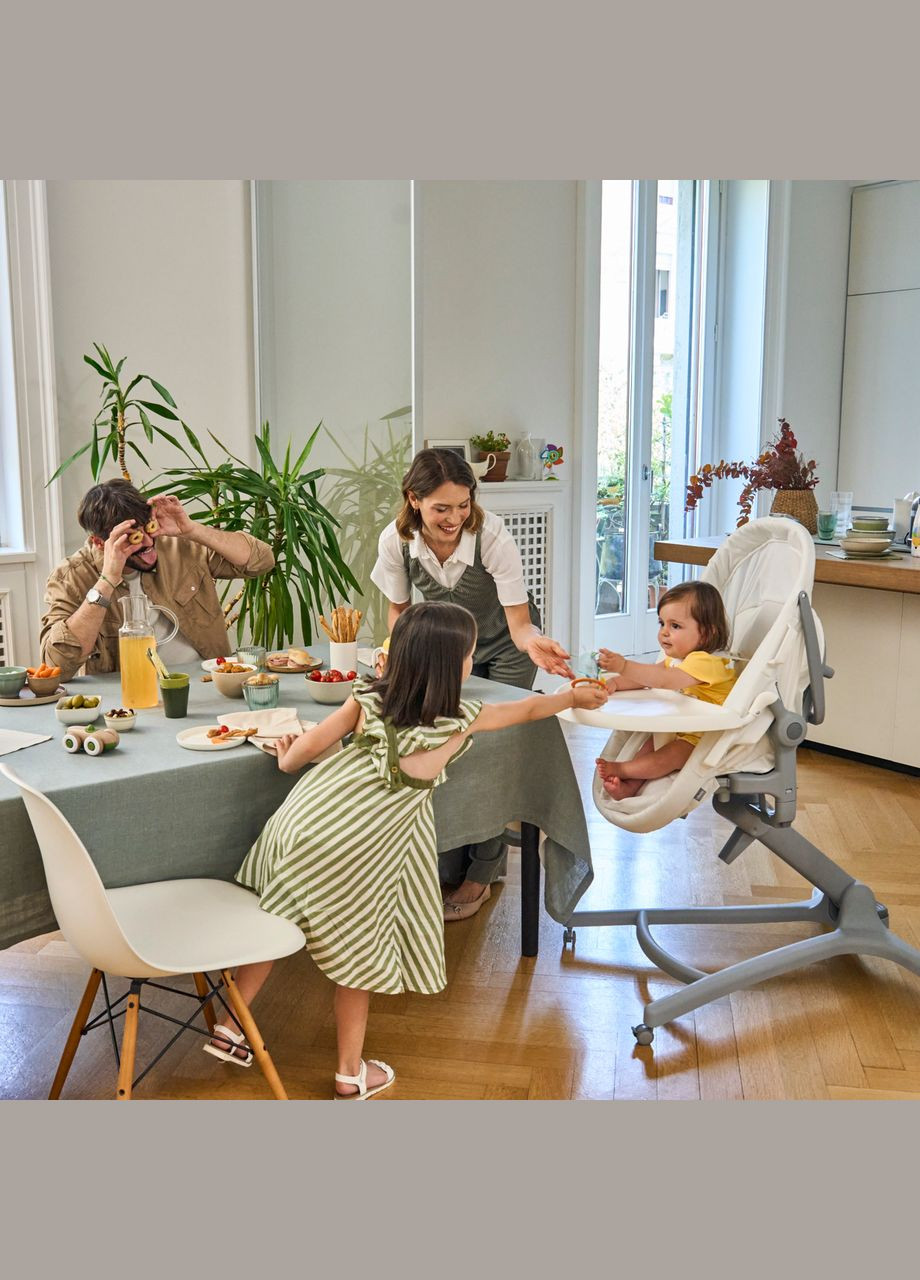 Ліжечко-стільчик 5 в 1 Baby Hug Pro Chicco (365868102)