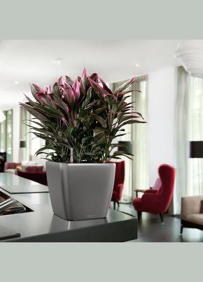 Розумний вазон Quadro Premium LS 28 8,5 л коричневий 16145 Lechuza (316618092)