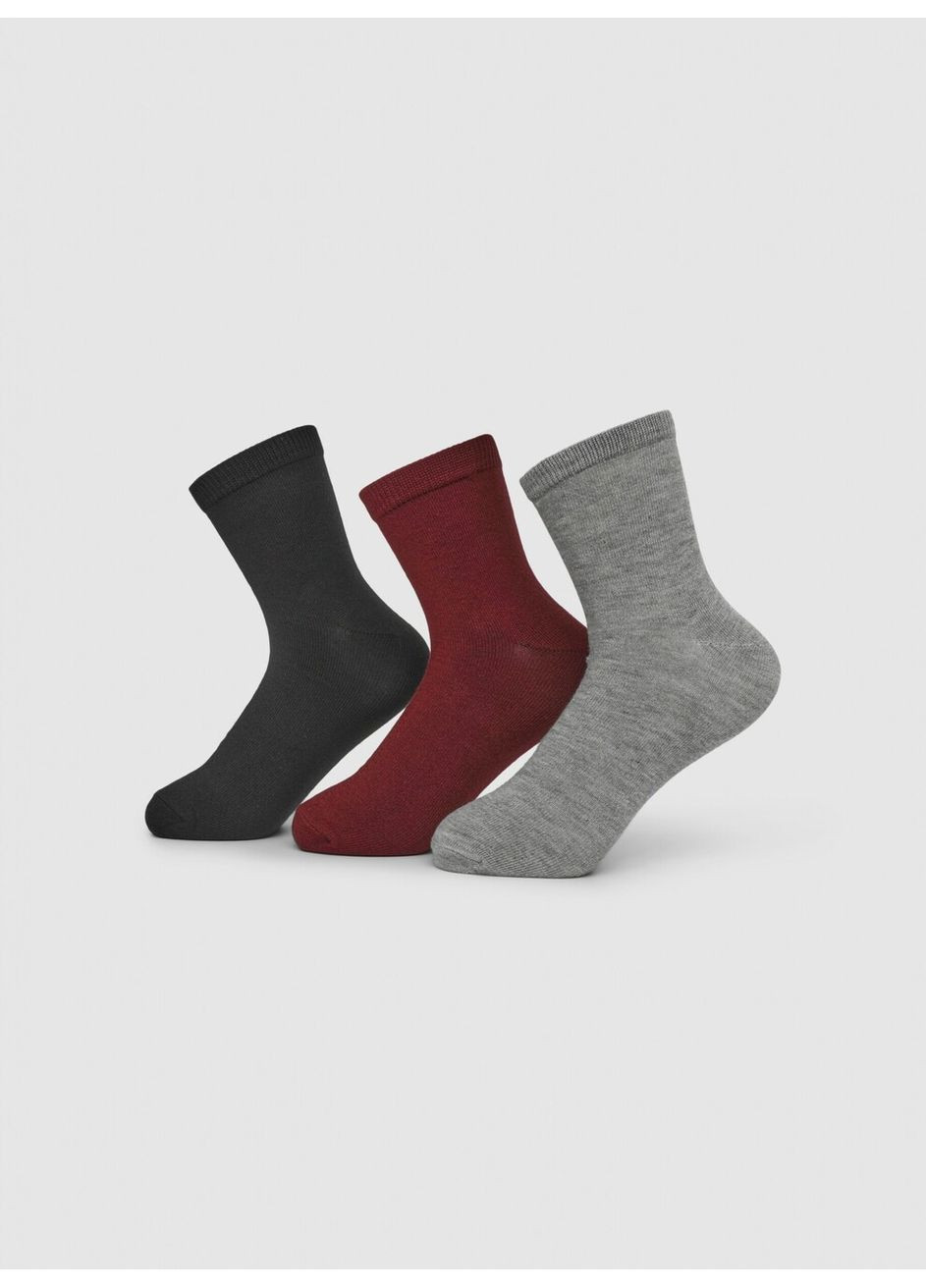 Серые набор носков женщин Terranova однотонные (363045488)