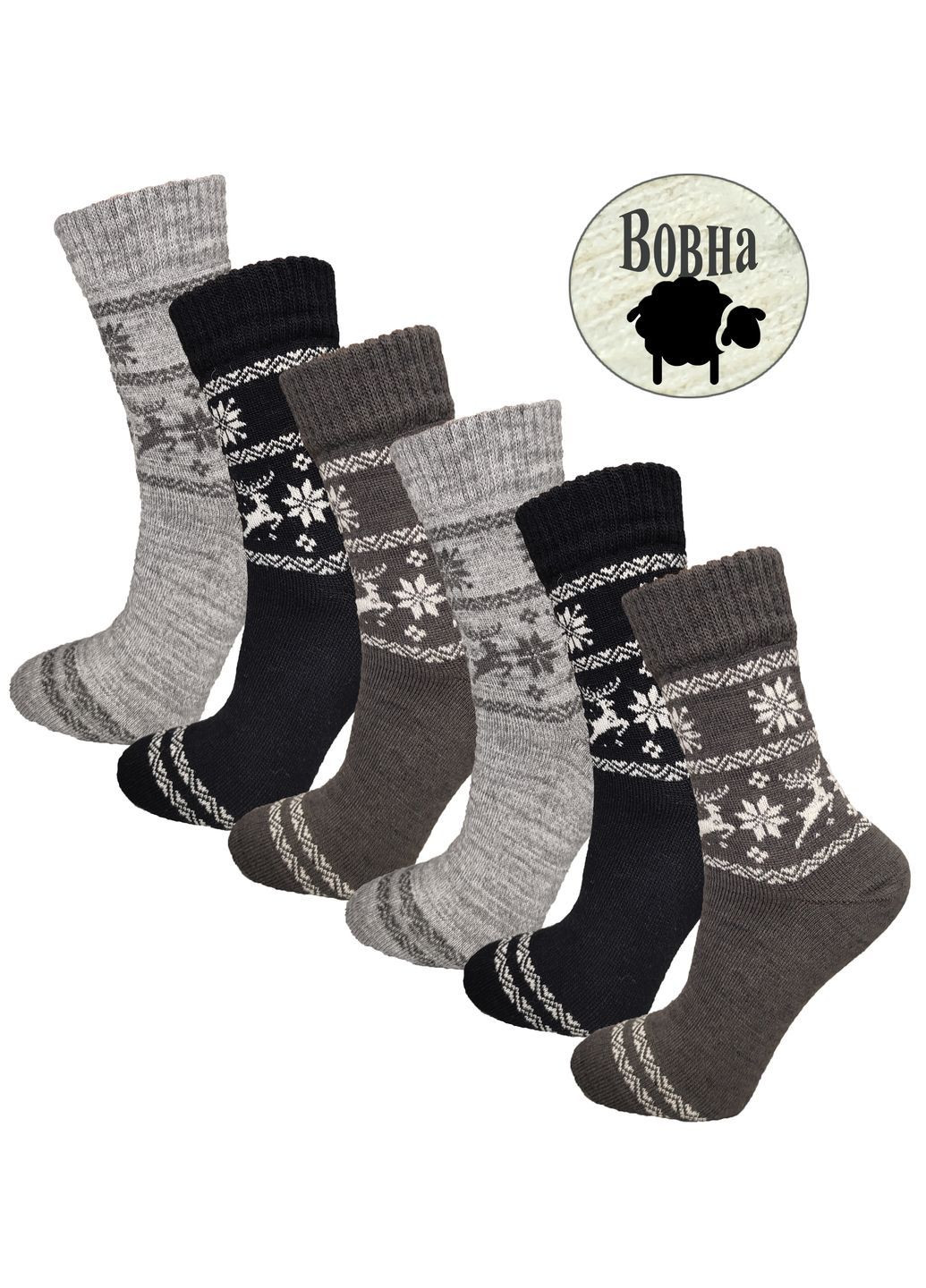 Набор носки шерстяные упаковка 6 пар Житомир (WT 512/6) р.36-41 Lomani (362269104)