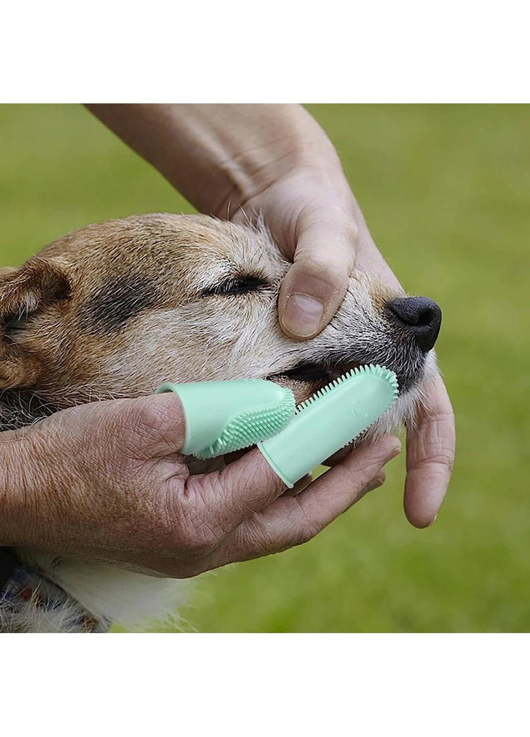 Зубна щітка для собак і кішок подвійна "DADY" Green Xtep (319664423)
