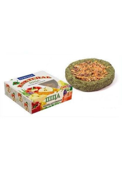 Пицца для грызунов 40 г (4823082404469) Природа (307930518)