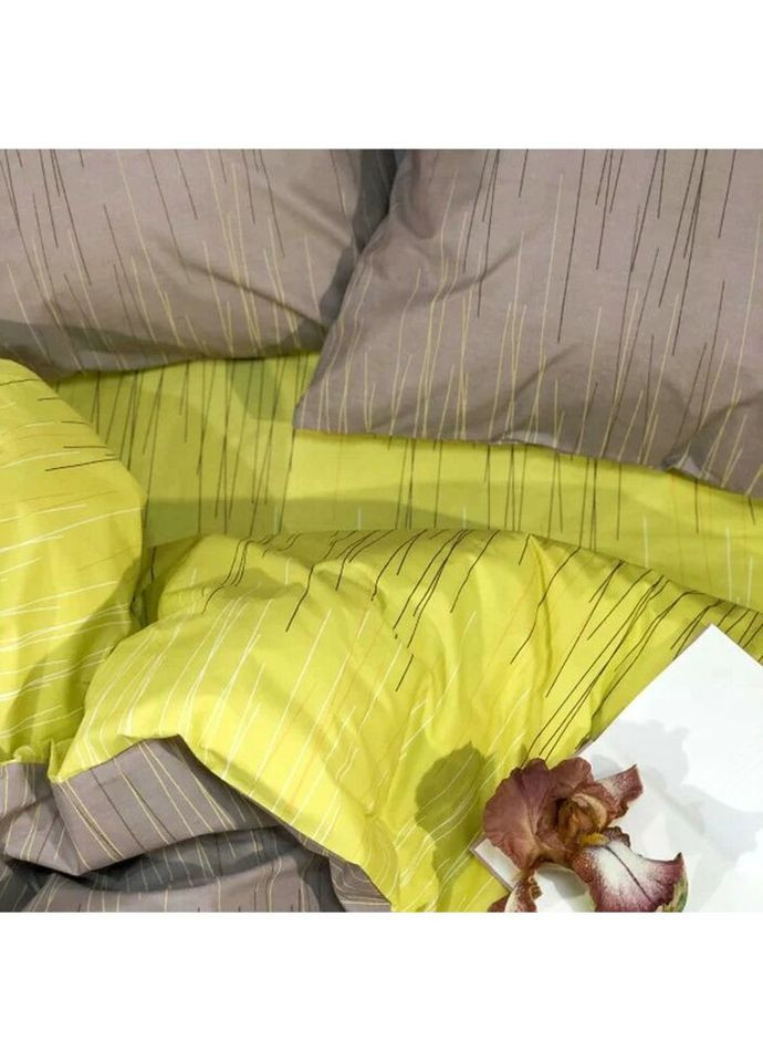 Постельное белье двуспальное Ранфорс 20109-2 210х175 см Viluta (336327974)