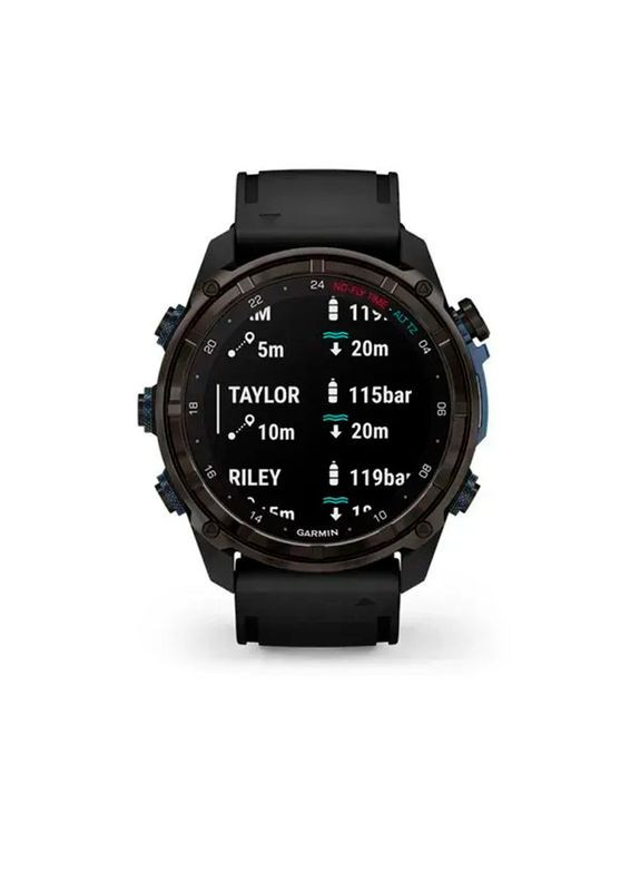 Смарт-часы Garmin (359479399)