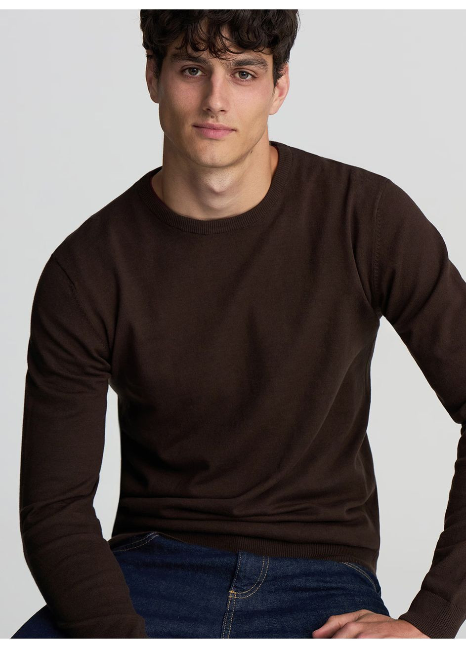 Коричневий демісезонний светр чол Terranova