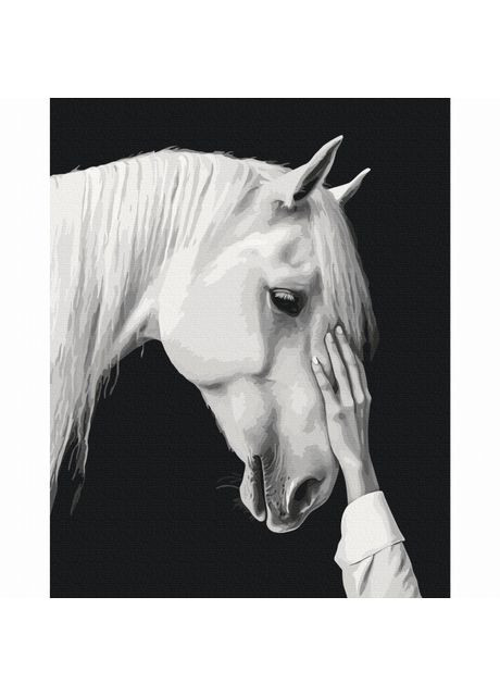 Картина по номерам Белый мираж (BS54416) Brushme (370259824)