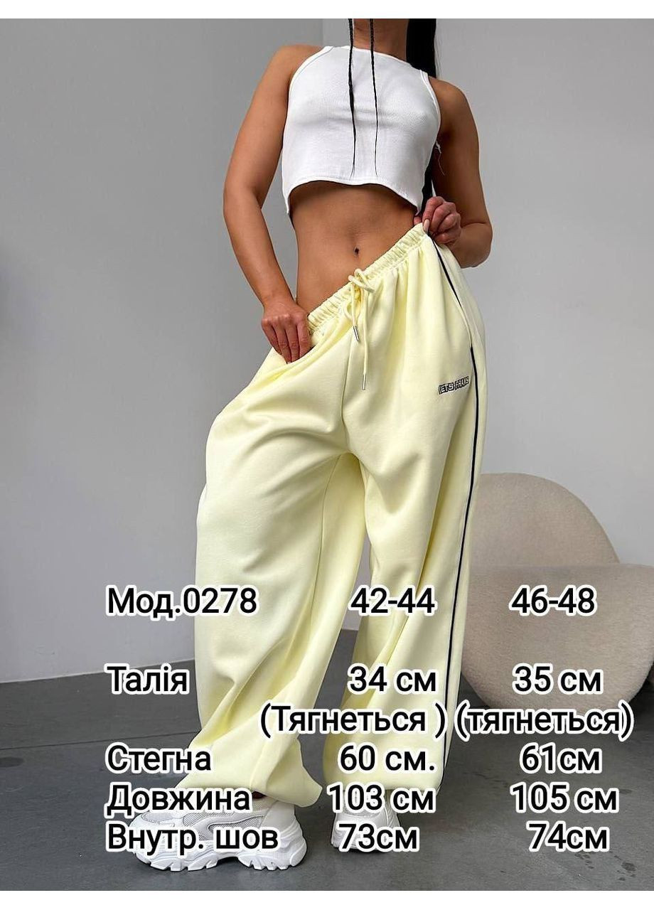 Жіночі штани з тринитки на флісі No Brand (362588332)