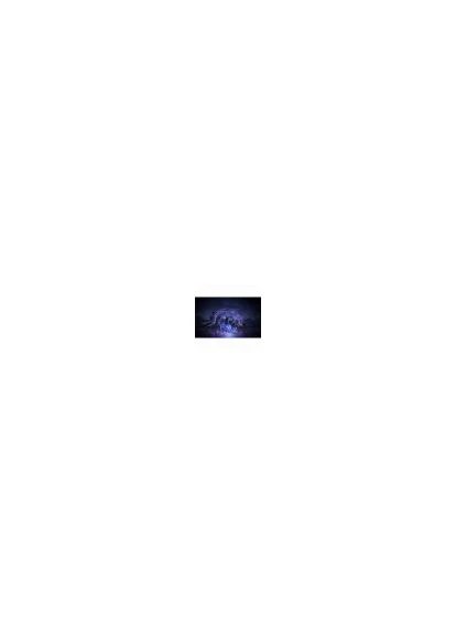 Игра консольная PS4 Elden Nightreign (3391892035858) Ring (370968129)