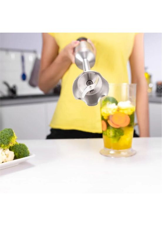 Блендер ZHB4650 Zelmer (308791039)