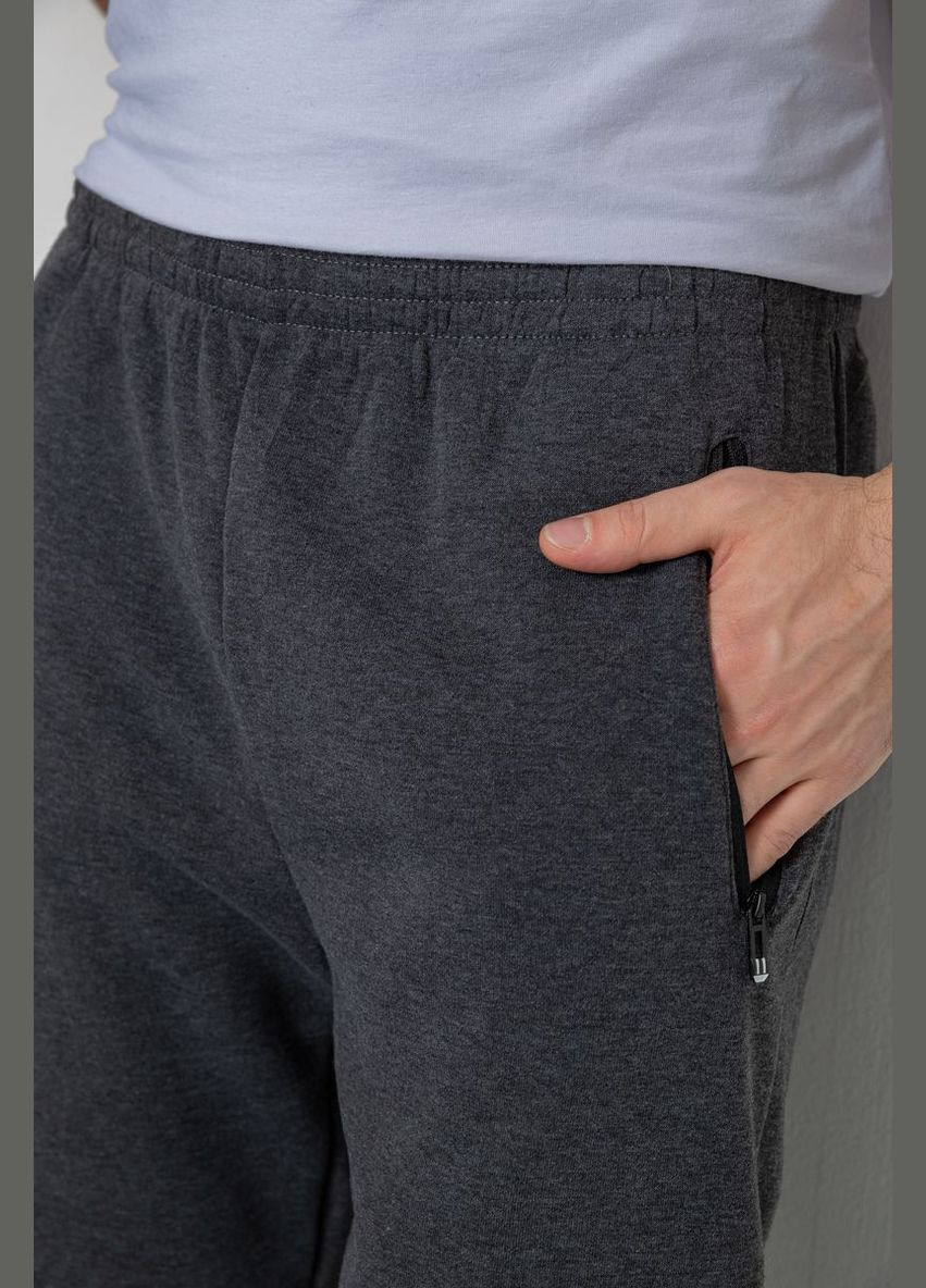 Темно-серые спортивные, кэжуал демисезонные брюки Ager