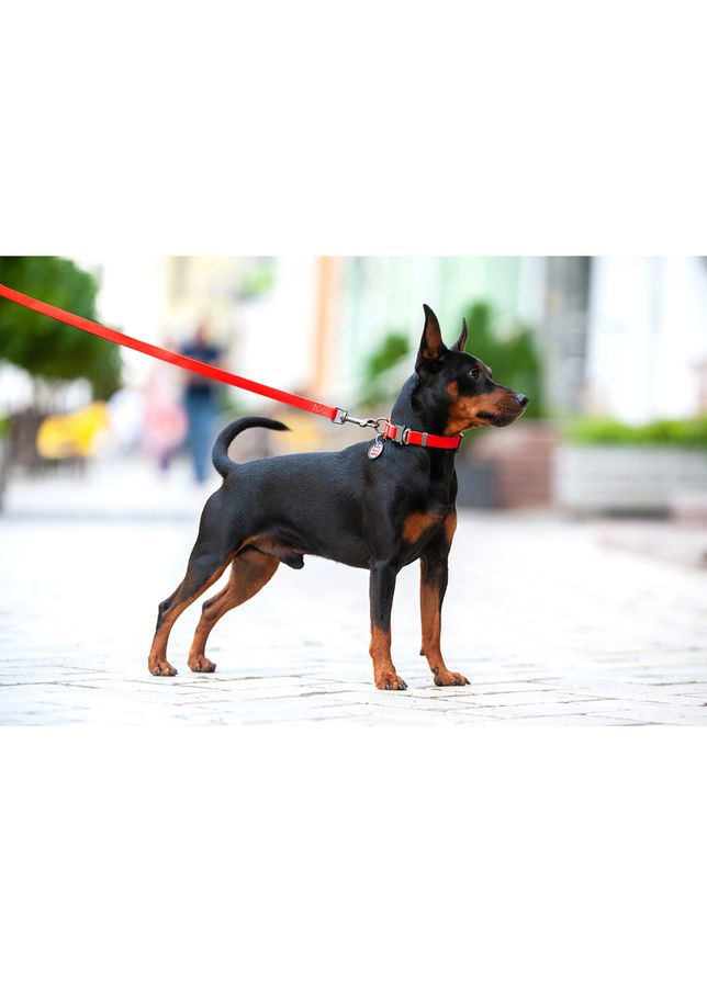 Нашийник WAUDOG (333706241)