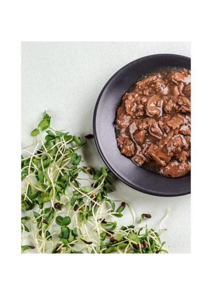 Вологий корм для кошенят, ягня з гарбузом у желе, пауч, 85 г Savory (362582513)